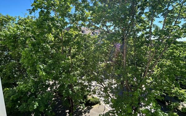 Appartement à vendre    3 pièces • 112 m2 Mulhouse