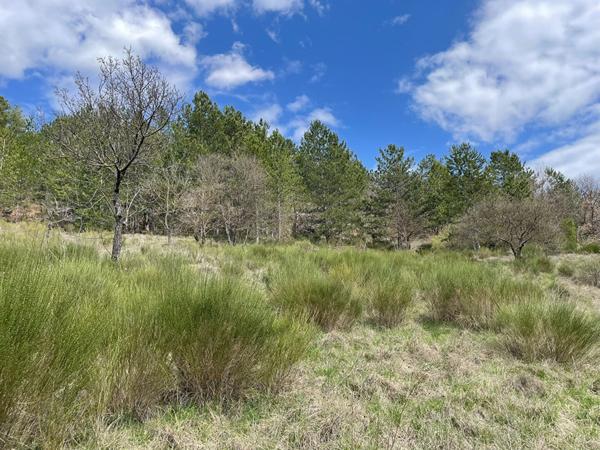 Terrain  à bâtir à vendre à Noyers Sur Jabron 5420 m2 dont 2700 m² constructibles