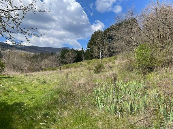 Terrain  à bâtir à vendre à Noyers Sur Jabron 5420 m2 dont 2700 m² constructibles