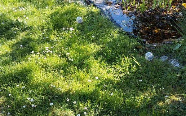 Maison à vendre    3 pièces •  Vierzon