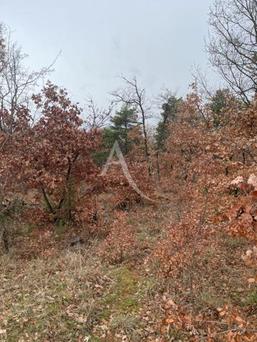 TERRAIN ROUMOULES 37641 m2 AGRICOLE ET LOISIRS