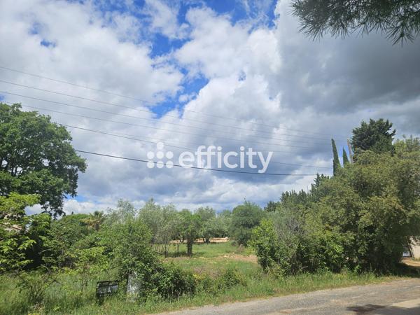 Terrain
        
        - 657 m² 210 000 € *