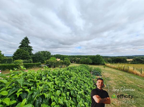 Maison 4 pièces - 117 m²