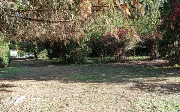 Maison à vendre    5 pièces • 133 m2 Vayres