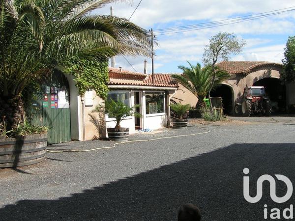 Château 25 pièces de 548 m² à Paulhan (34230)