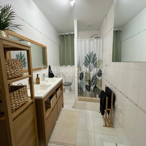 Ensemble immobilier 3 appartements: 245 m² avec jardin, terrasses et garage.