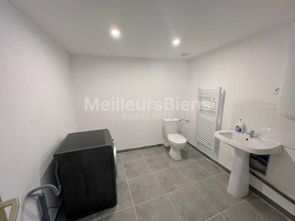 Ensemble immobilier 3 appartements: 245 m² avec jardin, terrasses et garage.
