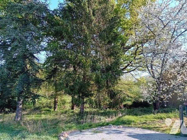 Situé sur la commune de Cournon, à seulement 5 mns de La Gacilly et 8 mns de Redon, ce terrain ...