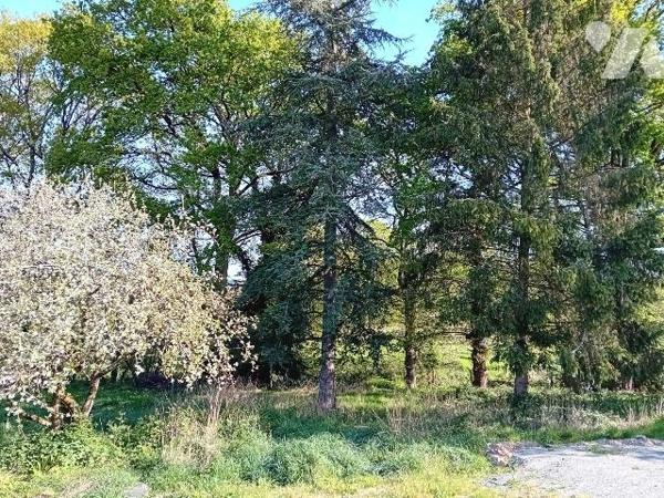 Situé sur la commune de Cournon, à seulement 5 mns de La Gacilly et 8 mns de Redon, ce terrain ...