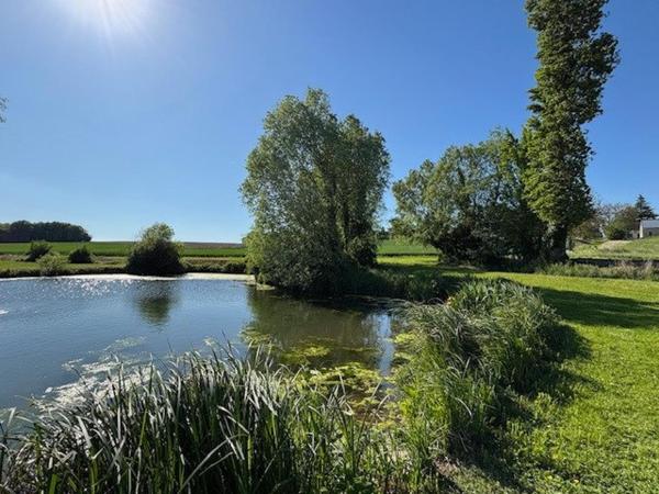 Véritable hâvre de paix, invitation à la sérénité