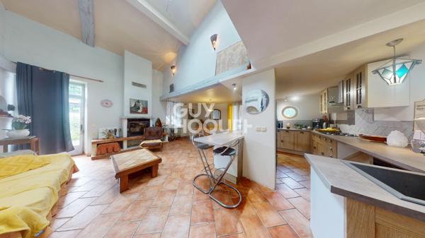 Maison atypique de 367 m² avec appartements annexe