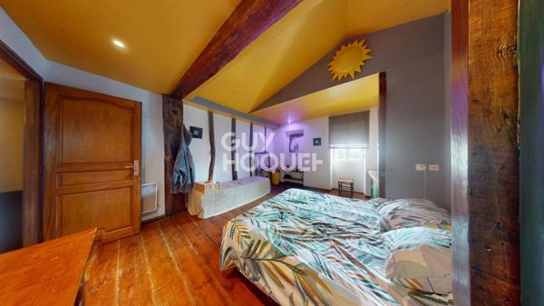 Maison atypique de 367 m² avec appartements annexe