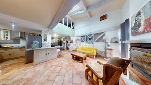 Maison atypique de 367 m² avec appartements annexe