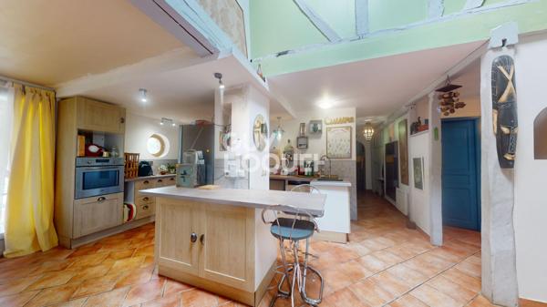 Maison atypique de 367 m² avec appartements annexe