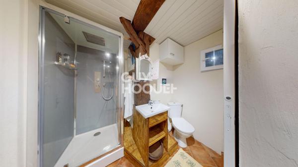 Maison atypique de 367 m² avec appartements annexe