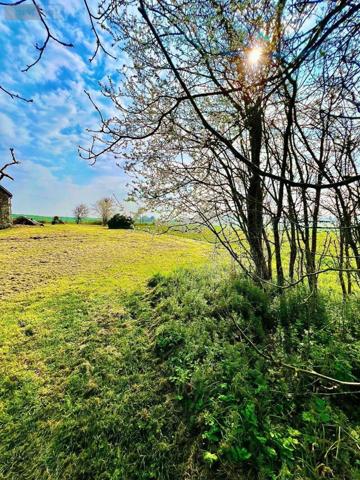 Maison individuelle à vendre à Luçay-le-Mâle dans l'Indre (36360), ref : 016/452