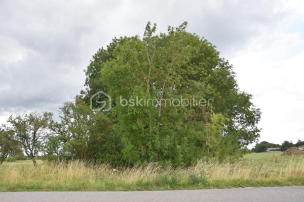 Terrain de 1 704 m²