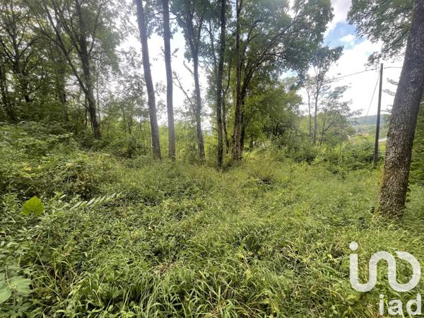 Terrain à vendre 8 680 m² Terrasson-Lavilledieu
