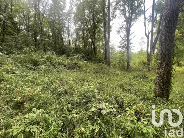 Terrain à vendre 8 680 m² Terrasson-Lavilledieu