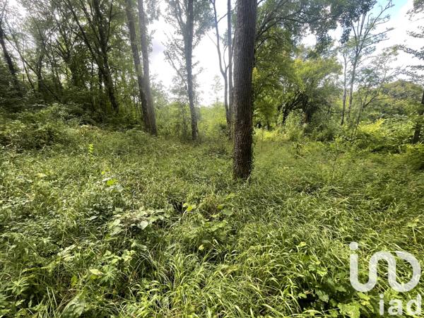 Terrain à vendre 8 680 m² Terrasson-Lavilledieu