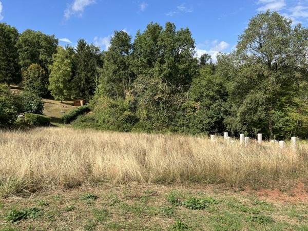 Terrain à vendre |  Meyssac |  7640 m²