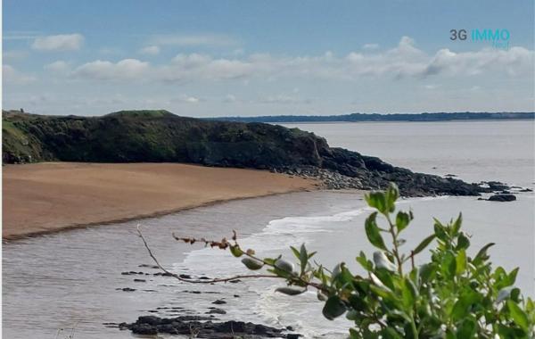 Vente / Appartement T3