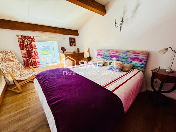 BELLE MAISON EN PIERRE RENOVEE LUMINEUSE AU CALME