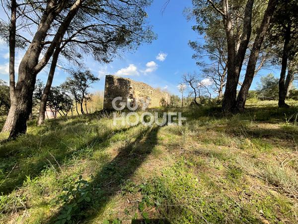 Ensemble immobilier de plus 582 m² avec annexe, Abbaye et garage sur 2.3 hectares de terrain