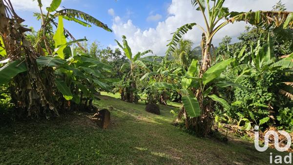 Maison à vendre 6 pièces 163 m² Le Marigot
