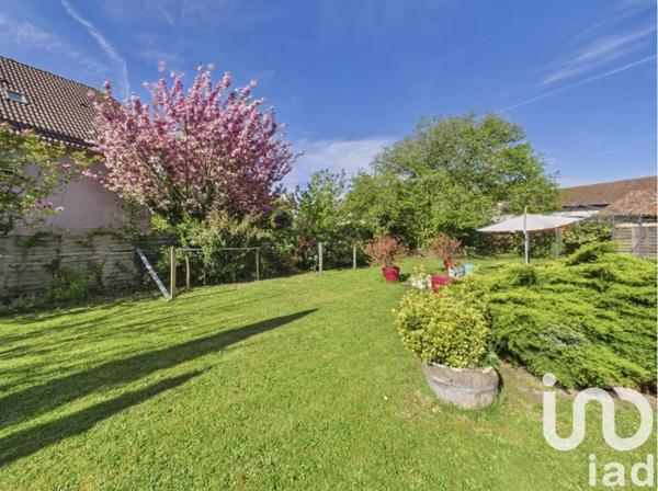 Maison à vendre 10 pièces 311 m² Châlus