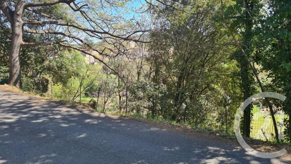 Terrain à vendre  1654 m2 MAUREILLAS LAS ILLAS - 66