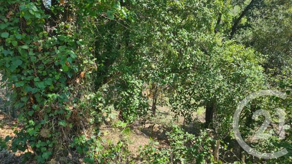 Terrain à vendre  1654 m2 MAUREILLAS LAS ILLAS - 66