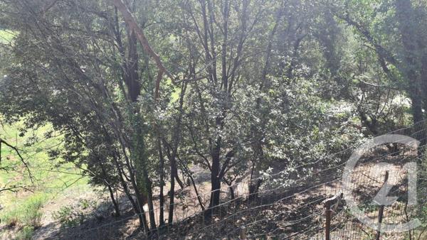 Terrain à vendre  1654 m2 MAUREILLAS LAS ILLAS - 66