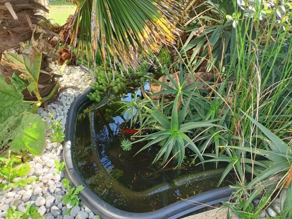 Maison traditionnelle Brest Proche centre ville 82 m²