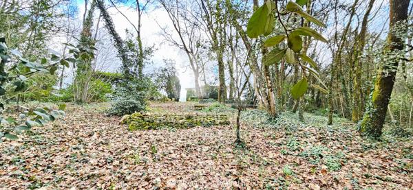 EN EXCLUSIVITÉ - SAINT YRIEIX - 10 MINUTES ANGOULEME - PAVILLON DE PLAIN-PIED D'ENV 135 m² AVEC GARAGE, TERRAIN ET PARTIE BOISÉE DE 4 999 m²