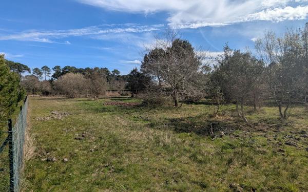 Terrain à vendre