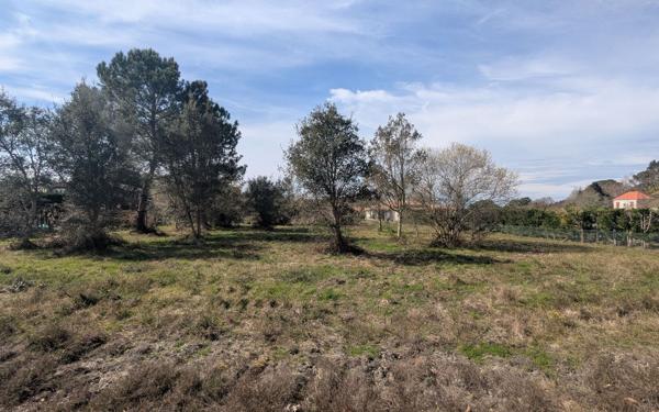 Terrain à vendre