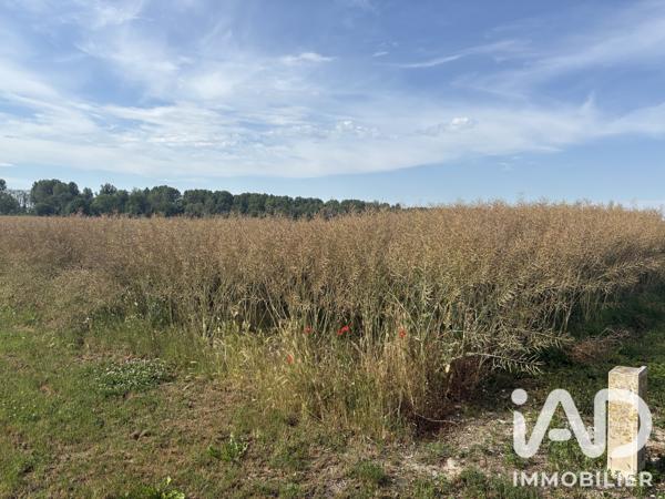 Terrain à vendre 900 m² Vouzy