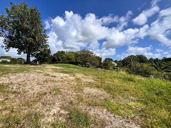 Achat terrain Sainte-Anne - 6389 m² - 355 000 €