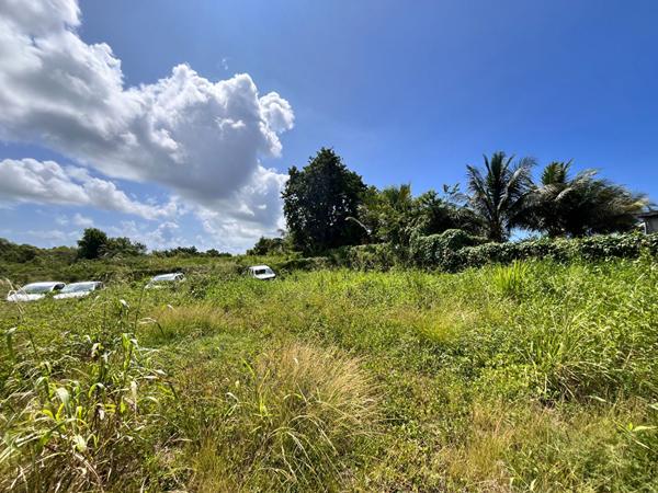 Achat terrain Sainte-Anne - 6389 m² - 355 000 €