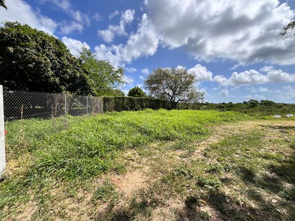 Achat terrain Sainte-Anne - 6389 m² - 355 000 €