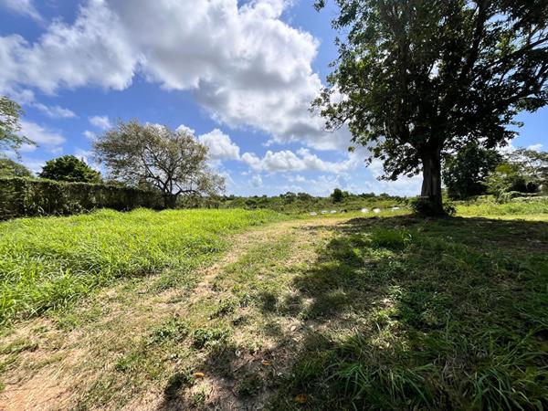 Achat terrain Sainte-Anne - 6389 m² - 355 000 €
