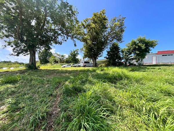 Achat terrain Sainte-Anne - 6389 m² - 355 000 €