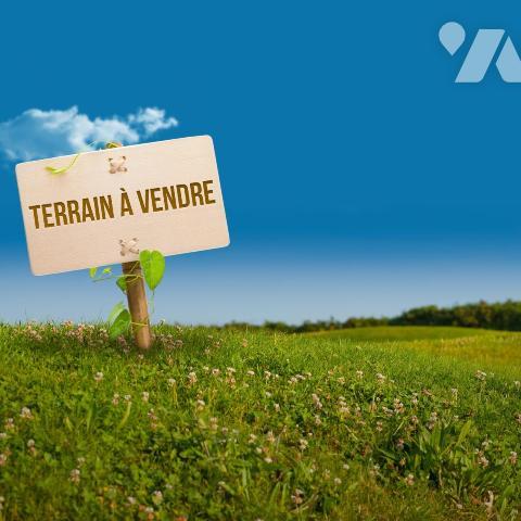 LA POSSESSION BOEUF MORT TERRAIN A BATIR