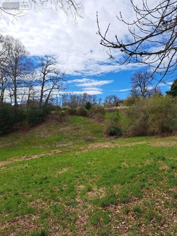 Terrain à Batir à vendre à Rieupeyroux dans l'Aveyron (12240), ref : 1009131   
Aveyron