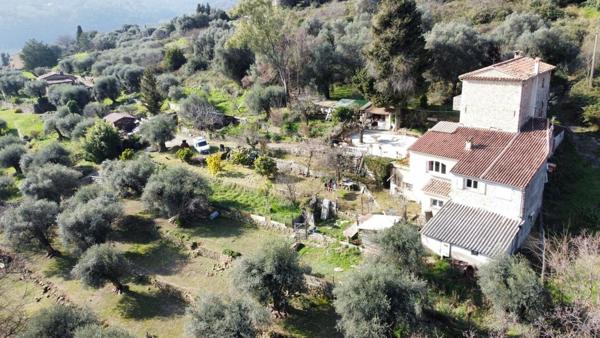 Maison provençale au milieu des oliviers