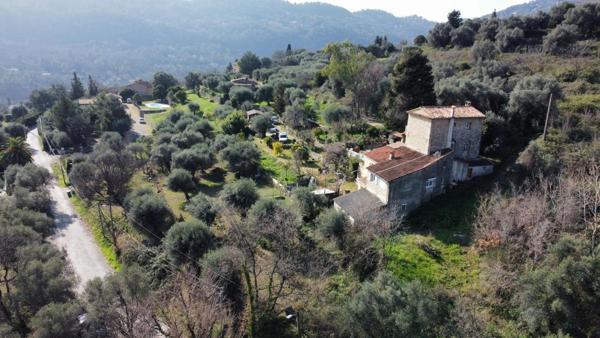 Maison provençale au milieu des oliviers
