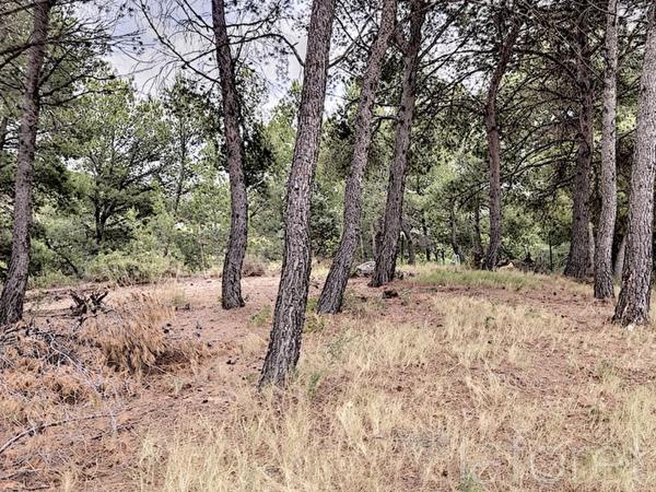 Achat terrain Rognac - 566 m² - 160 000 €