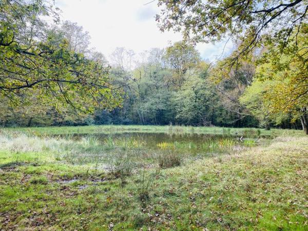 Château 500 000 € Cour-Cheverny 19 p 480 m² DPE E
