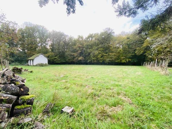 Château 500 000 € Cour-Cheverny 19 p 480 m² DPE E